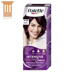 Vopsea de Păr Permanentă Schwarzkopf Palette Intensive Color Creme 6-99 (V5), Violet Intens